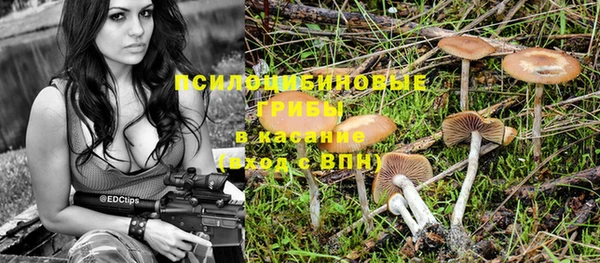 мяу мяу кристалл Арсеньев